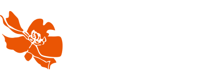 Kapok Coffee Device Company